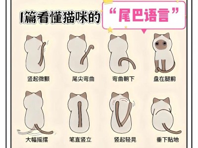 揭秘猫咪尾巴为何卷起来（解读猫咪尾巴卷曲的原因及其意义）