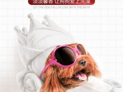 贵宾狗配种后适合洗澡的时间（洗澡对贵宾狗配种的影响及注意事项）