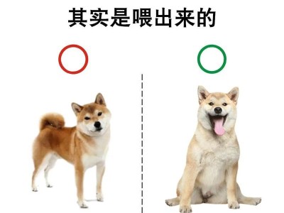 狗溶血性贫血（了解狗溶血性贫血的存活期限及其影响因素）