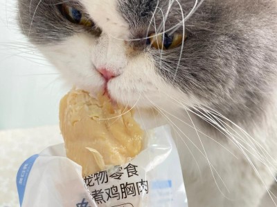 猫可以吃鸡蛋吗？（丰富营养的补充零食）