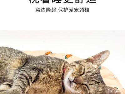 如何为三个月大的猫降温？（夏天来临，小猫身体不适，怎么办？）