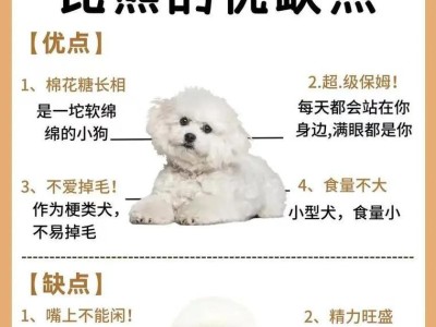 如何妥善照顾泰迪犬的生理期？（了解母泰迪犬的生理周期及关键细节）