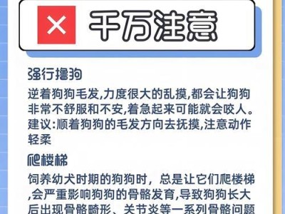 救命！狗狗偷吃了巧克力怎么办？（如何保护你的狗狗免受巧克力中毒的伤害）
