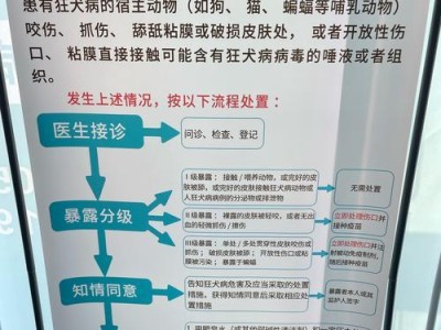 猫爪伤潜伏期（了解被猫抓伤的潜伏期，保护自己和家人的健康）