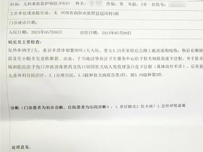 了解狗免疫证明的重要性（保护犬只健康，共同打造和谐社会）