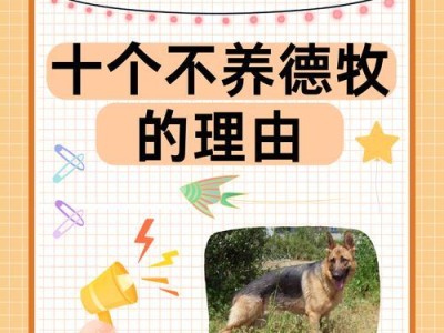 以能养德牧的人——品德塑造者（拥有善良、责任和耐心，引导德牧成长）