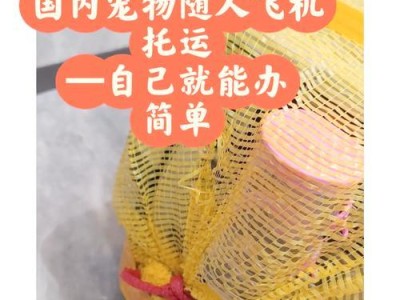 宠物在飞机上多久可以进食？（关于宠物飞行中的饮食时间安排和注意事项）