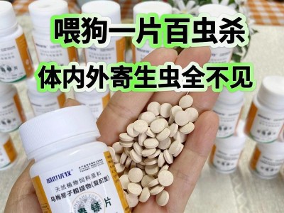 宠物狗狗体外驱虫的最佳频率（三个月一次，让宠物狗狗远离寄生虫）