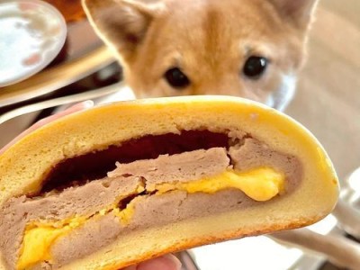 狗狗喜爱的健康美食（满足狗狗味蕾的几种美食）