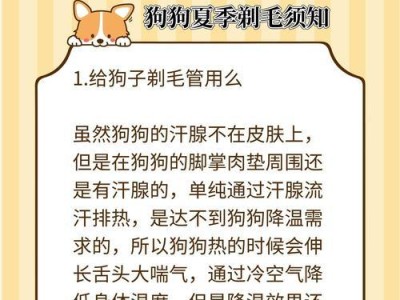夏天养金毛需注意之关键事项（如何给夏天的金毛提供舒适的生活环境和护理）