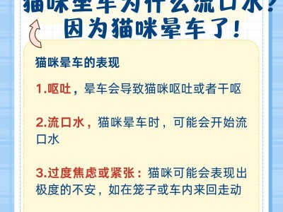 猫晕车恢复时间及方法解析（探究猫晕车的恢复时间以及帮助猫儿缓解晕车的方法）