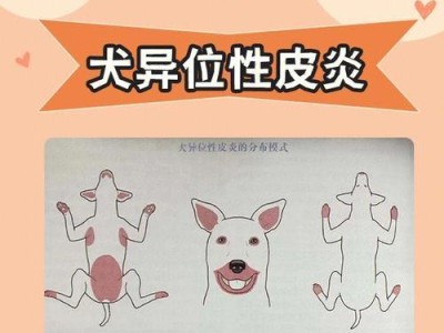 狗狗过敏症状解析（了解狗狗过敏症状，呵护你的爱宠健康）