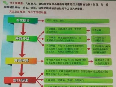 狗狗疫苗（保护宠物健康的关键）