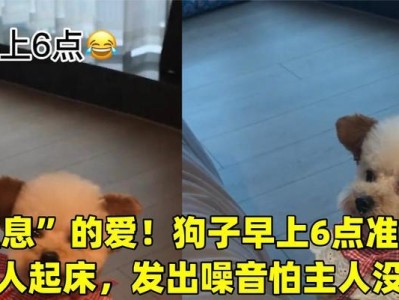 狗的窒息时间有限吗？（探索狗窒息的时间极限及救援方法）