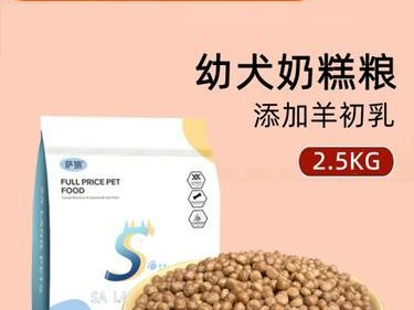 如何选择适合博美犬的营养狗粮（探秘博美犬所需的营养元素和选购技巧）