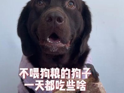 哪些狗不需要吃狗粮？（狗粮不适用于所有狗，你需要了解的几个关键信息）
