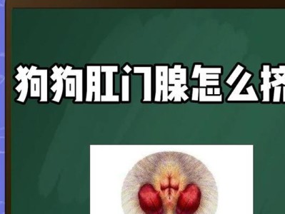 揭秘狗肛门腺液的颜色之谜（了解狗肛门腺液的颜色有助于宠物健康）