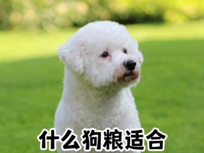 如何选择适合两个月比熊的优质狗粮（以两个月比熊的饮食需求为导向，选择高质量、均衡营养的狗粮）