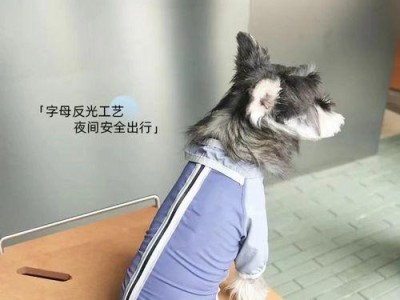 冬天里如何保暖泰迪犬（防寒保暖的措施和方法，健康过冬关键）