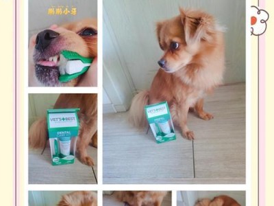 解决狗狗刷牙不听话的7种方法（让你的狗狗爱上刷牙，拥有健康洁白的牙齿）