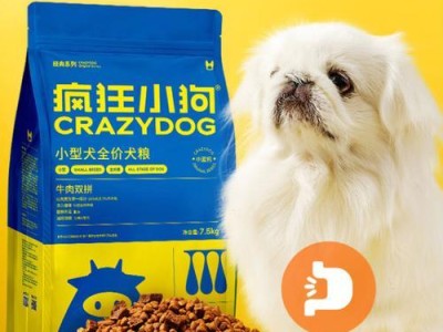 幼犬泰迪的饲养方式（一月内泰迪需要多少狗粮？）