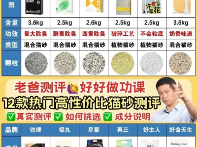 如何选择适合你家猫咪的猫砂？（十猫家庭的经验分享）