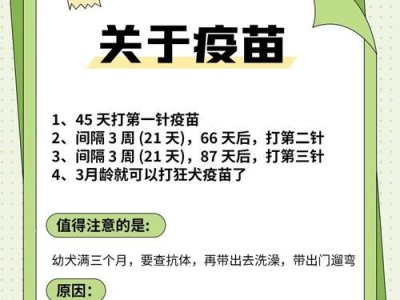 狗狗生完后多久可以打疫苗？（了解狗狗疫苗接种时间的重要性）