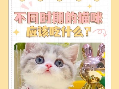 3个月小猫的饮食需求（培养健康小猫的关键饮食习惯）