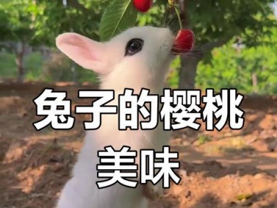 兔子可以吃哪些树叶？（探索兔子饮食中的重要组成部分）