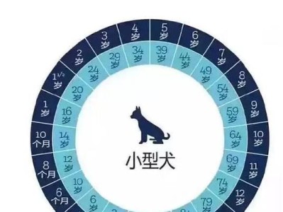 泰迪犬饲养注意事项（宠主必须知道的各年龄阶段饲养要点）