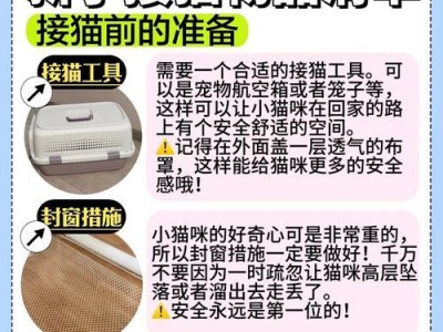 如何准备养猫所需的物品？（养猫需要准备哪些东西？）