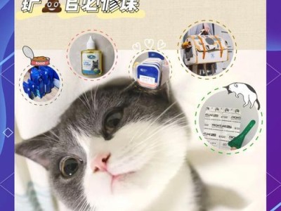 以才出生的小猫吃什么奶（探索小猫的奶源及喂养方法）