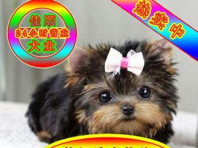 狗狗打第三针的最佳时间是什么时候？（探究狗狗打第三针的最佳时机和注意事项）