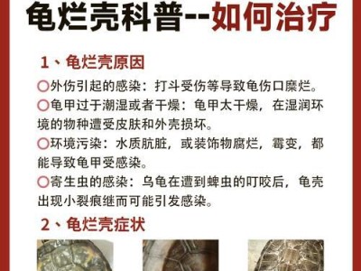 乌龟治疗方案的（乌龟治疗方案详细解读）