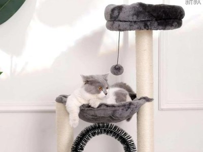 如何让猫窝更加温暖舒适（猫咪喜欢的温暖元素与建议）