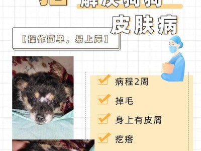 治疗狗长癣的药物及方法探析（探索有效药物治疗狗长癣，帮助爱犬重拾健康）