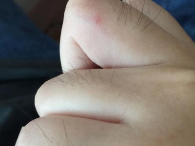刚出生两个月的幼犬的疫苗情况咨询及照顾指南（确保幼犬健康成长，先了解疫苗情况）