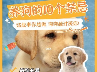 如何在狗市场购买狗的注意事项（确保你的狗买得放心和健康）