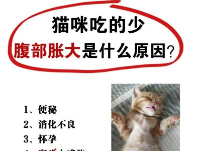 猫咪为什么不拉屎？（如何处理猫咪不排便的问题）
