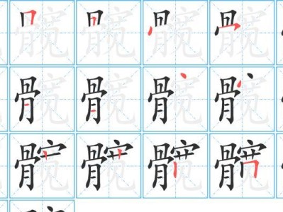 深入了解髋关节的结构和功能