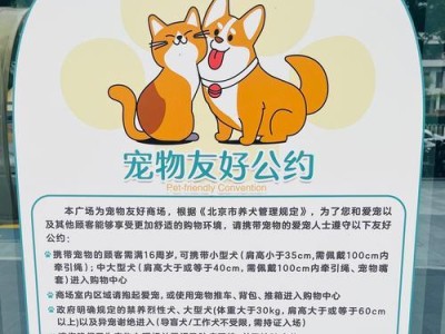 带宠物狗一起旅行的最佳地点