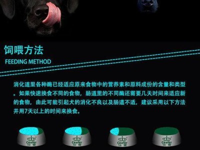 以黑色泰迪吃什么狗粮好？（为你的黑色泰迪提供最佳狗粮选择！）