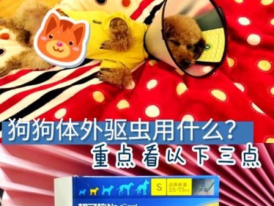 狗狗体外驱虫的时间间隔应该是多久？（了解体外驱虫的合理时间间隔和关键因素）