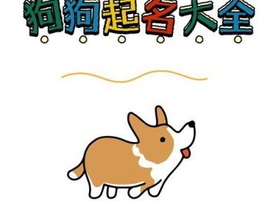 我家可爱狗狗的名字及背后的故事（探寻狗狗名字的来源与意义）
