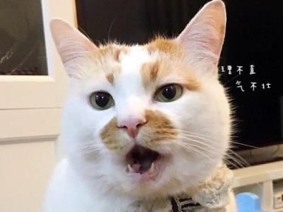 猫为何招人讨厌？（了解猫的行为和特点，消除误解）
