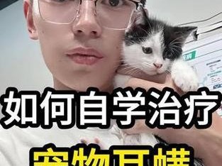 治疗耳螨的有效方法（彻底治愈耳螨，宠物主人必看！）