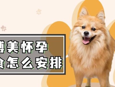 60天内博美狗粮消耗量的计算方法（根据体重确定博美狗粮摄入量，全面满足它的营养需求）