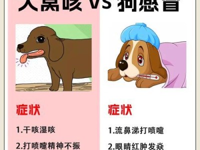 狗八联打疫苗的频率及注意事项（为您的爱犬健康着想，探究狗八联疫苗的接种间隔）