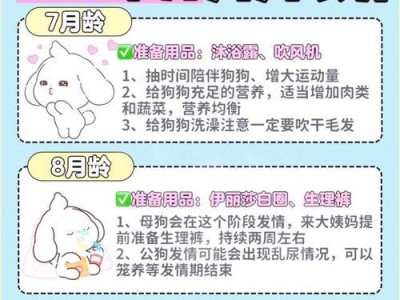 比熊喂食时间间隔多久合适？（根据比熊的需求制定科学喂养计划）