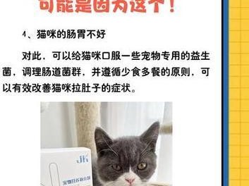 新手必读！如何正确喂养幼猫并冲泡猫羊奶粉（了解喂养量和正确冲泡方法，让幼猫茁壮成长）